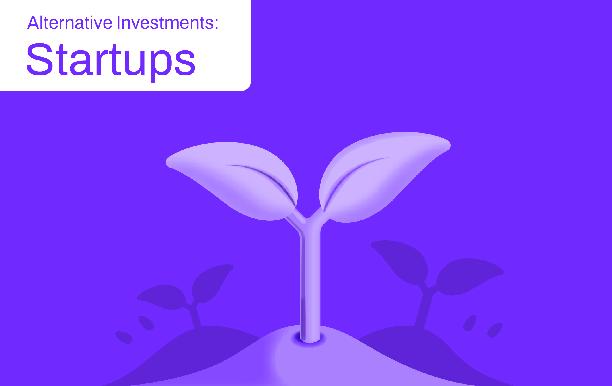 Alternative Investments: Startup Investing