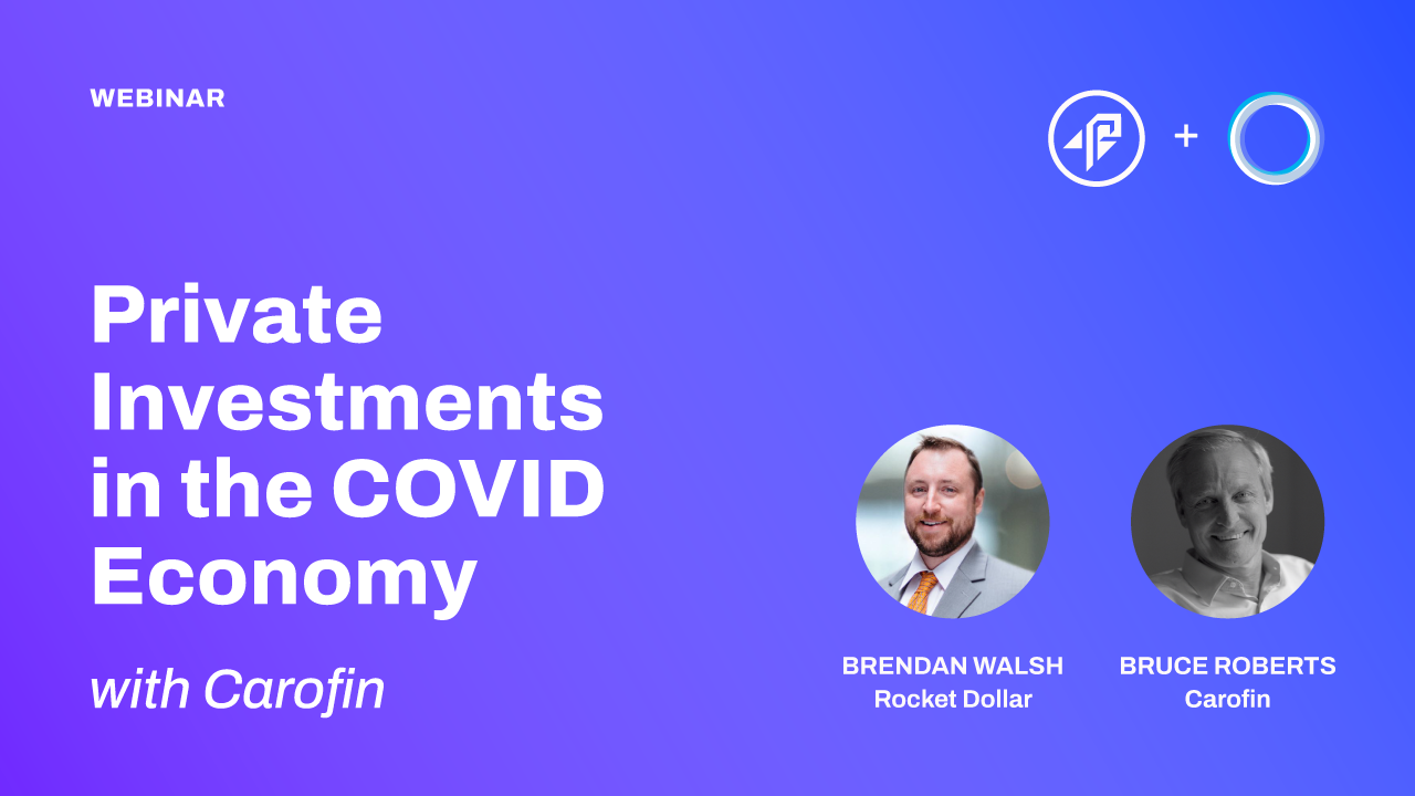 Private Investments in the COVID Economy