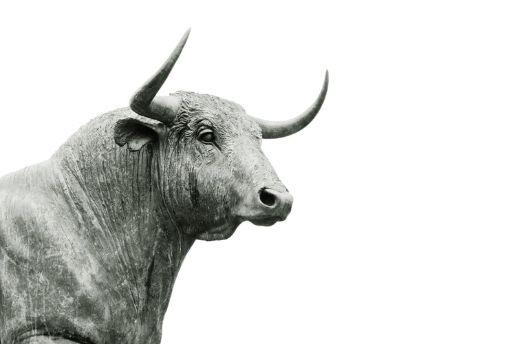 Why Financial Advisers are Bullish on Alternative Investments